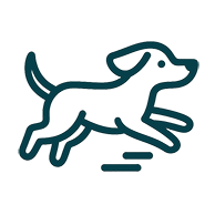 alimentacao saudavel cachorro 2