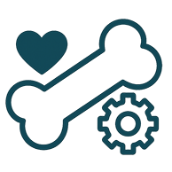 alimentacao saudavel cachorro 5