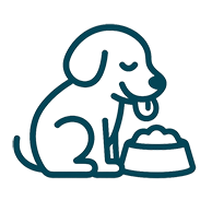 alimentacao saudavel cachorro 6