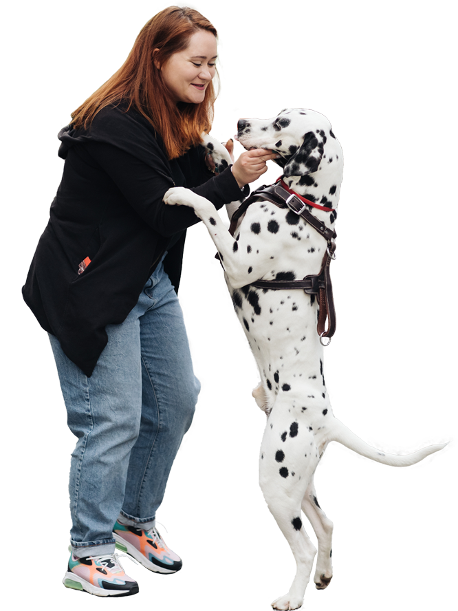 woman discussing and training her dalmatian pet in LE86V5Ha
